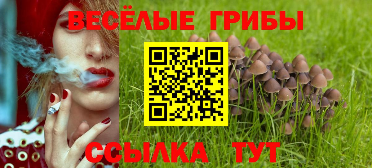 Псилоцибиновые грибы Psilocybe  Вход с VPN  Аргун 
