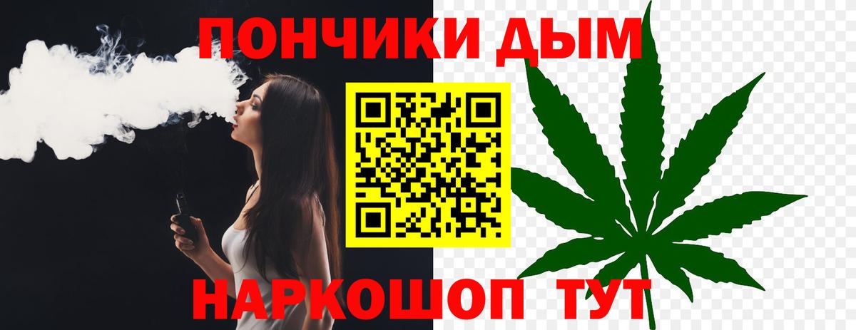 Бошки марихуана сатива Аргун